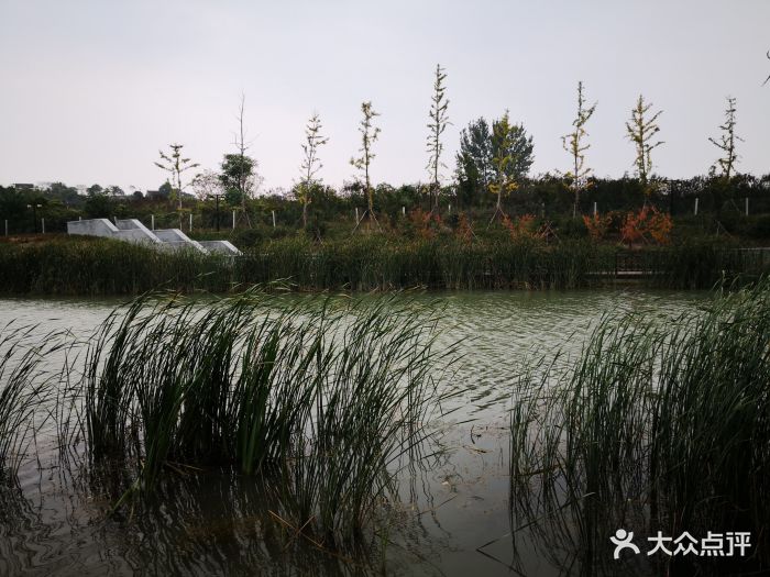 姜嫄水乡图片