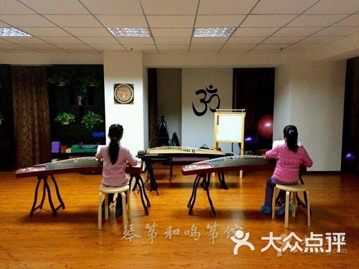 琴筝和鸣古筝馆-图片-西安学习培训-大众点评网