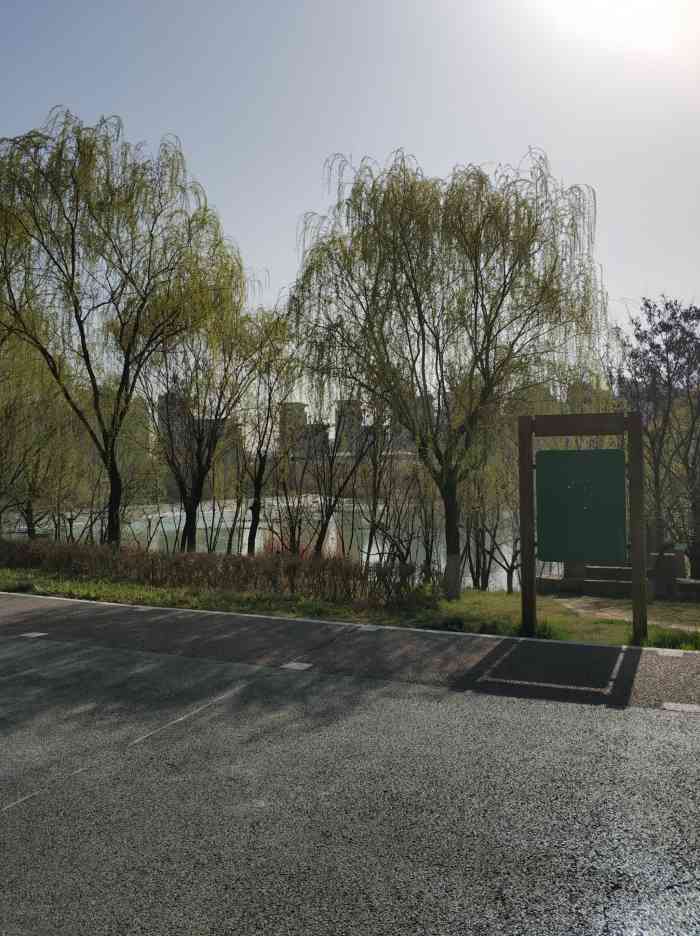 灞桥生态湿地公园-"微风细雨中的漫步,仿佛置身田园.