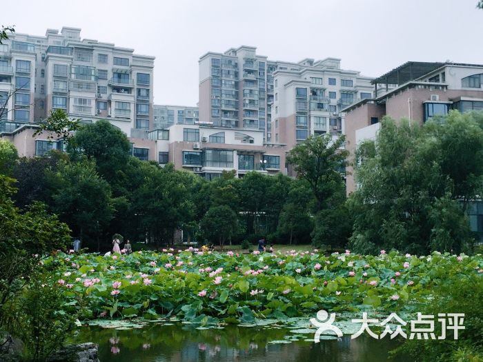 艺泰安邦花园-图片-上海生活服务-大众点评网