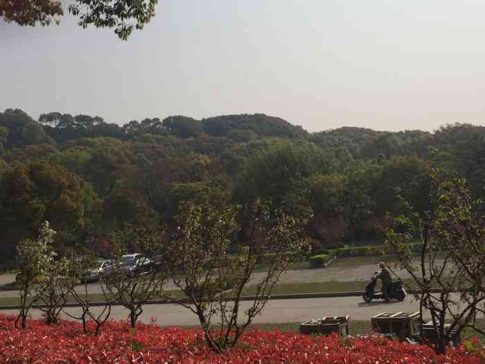 湖景公墓-"周六上午去湖景公墓扫墓,一路上非常拥堵,.