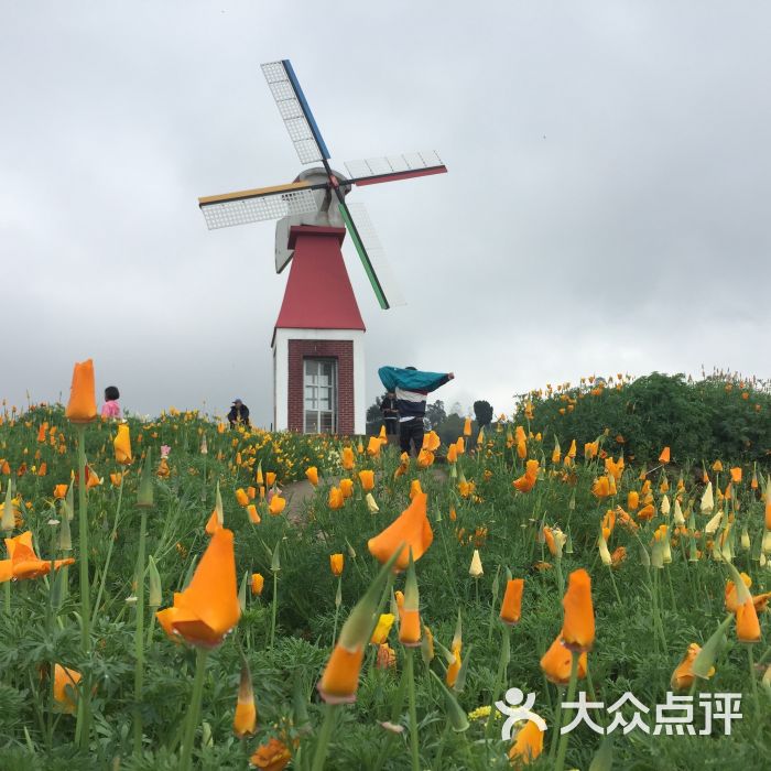 奇芳花谷-图片-万州区周边游-大众点评网