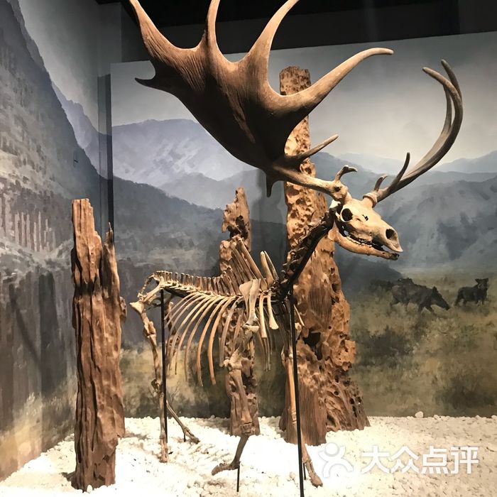 南京博物院