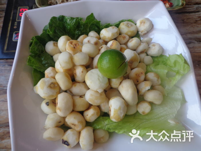 小马蹄