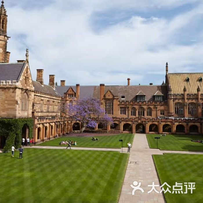 悉尼大学