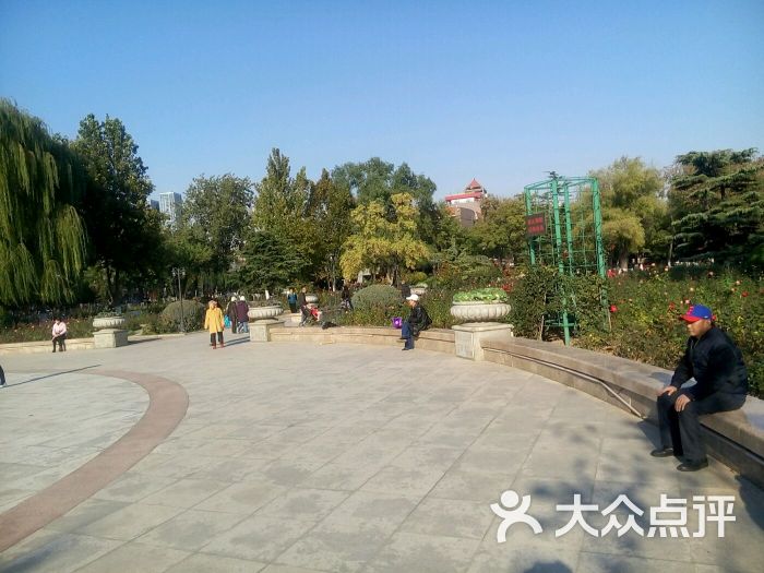睦南公园-图片-天津周边游-大众点评网
