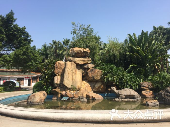 灵龟园图片 第30张