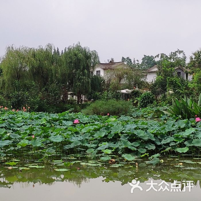 香草湖湿地公园