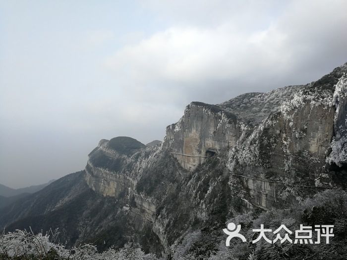 金佛山景点 金龟朝阳图片 - 第8张