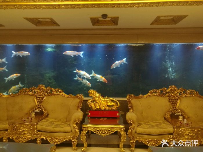 万宝温泉会馆-大堂-环境-大堂图片-大连周边游-大众