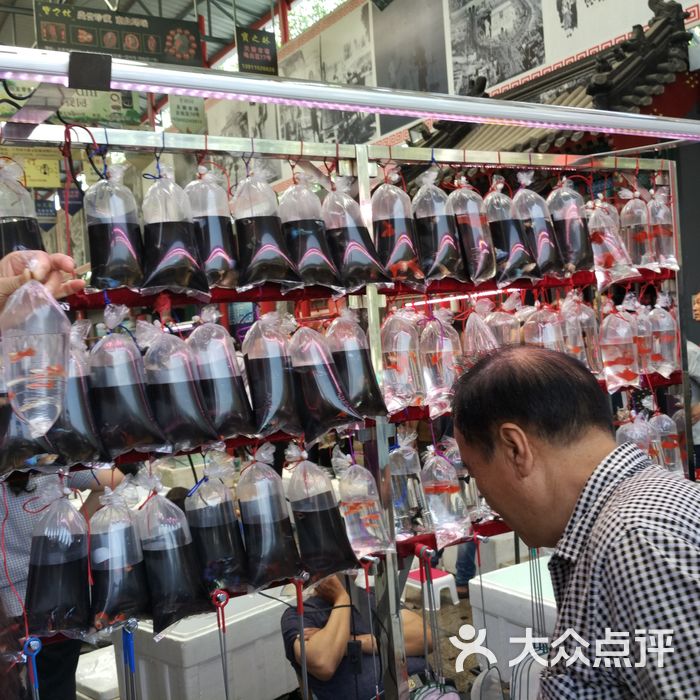 十里河鱼市图片-北京海鲜-大众点评网