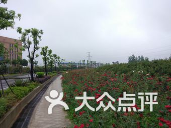 【武汉光谷半岛生态体验园】团购,地址,电话,附