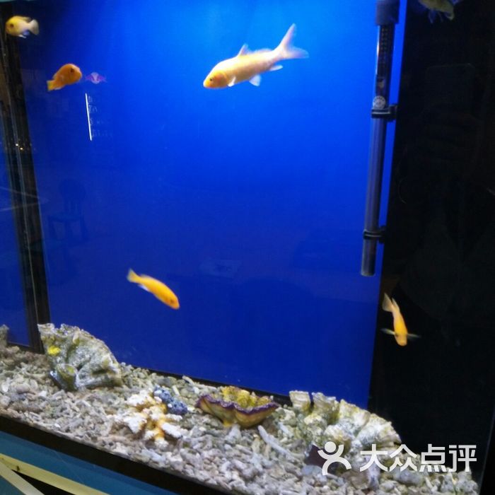 奥兰德海洋村