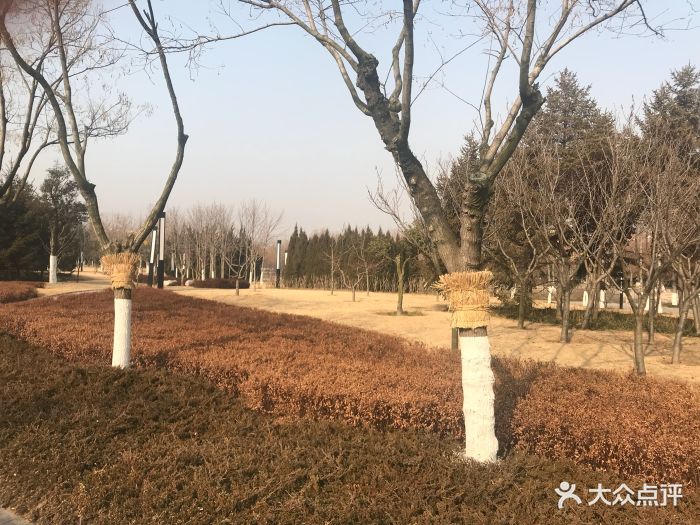 双珠公园图片