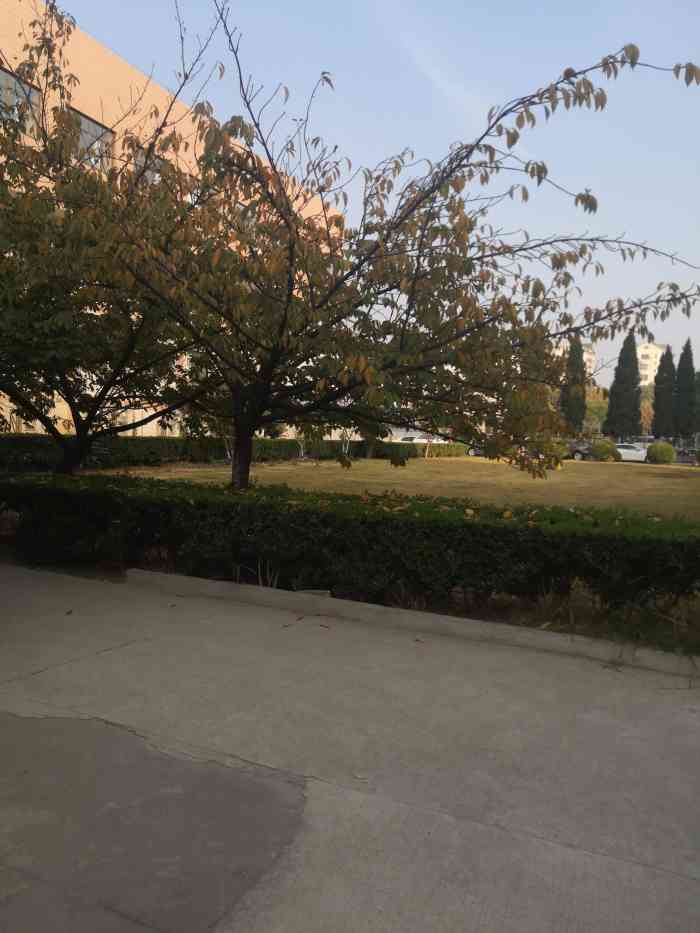 南京晓庄学院(莫愁校区)