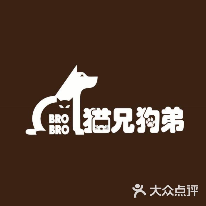 猫兄狗弟图片 第1张