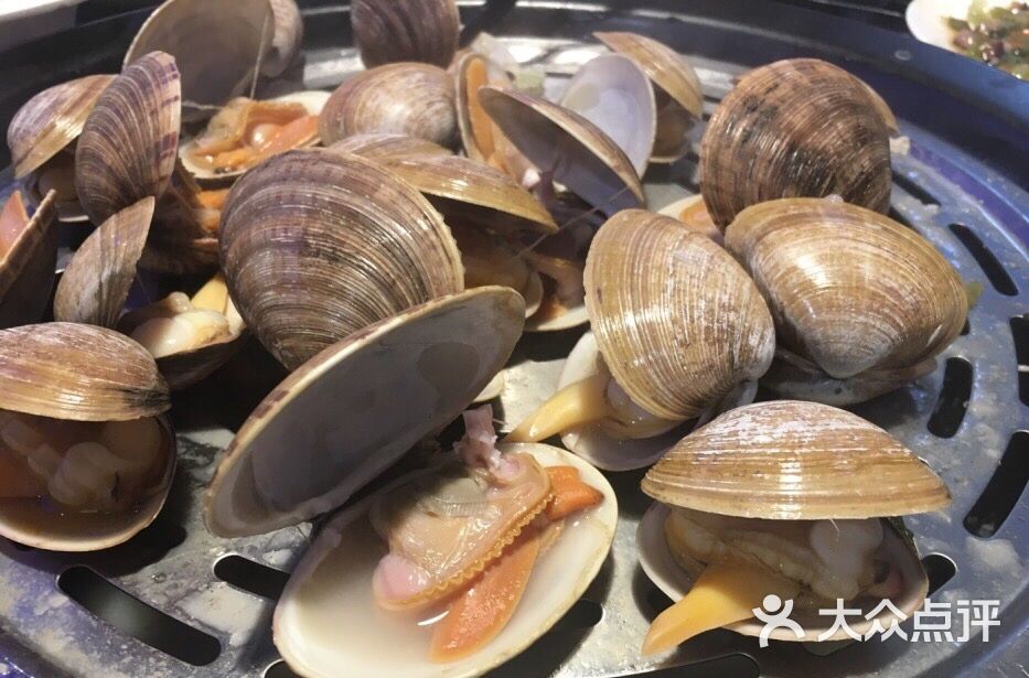 黄蚬子