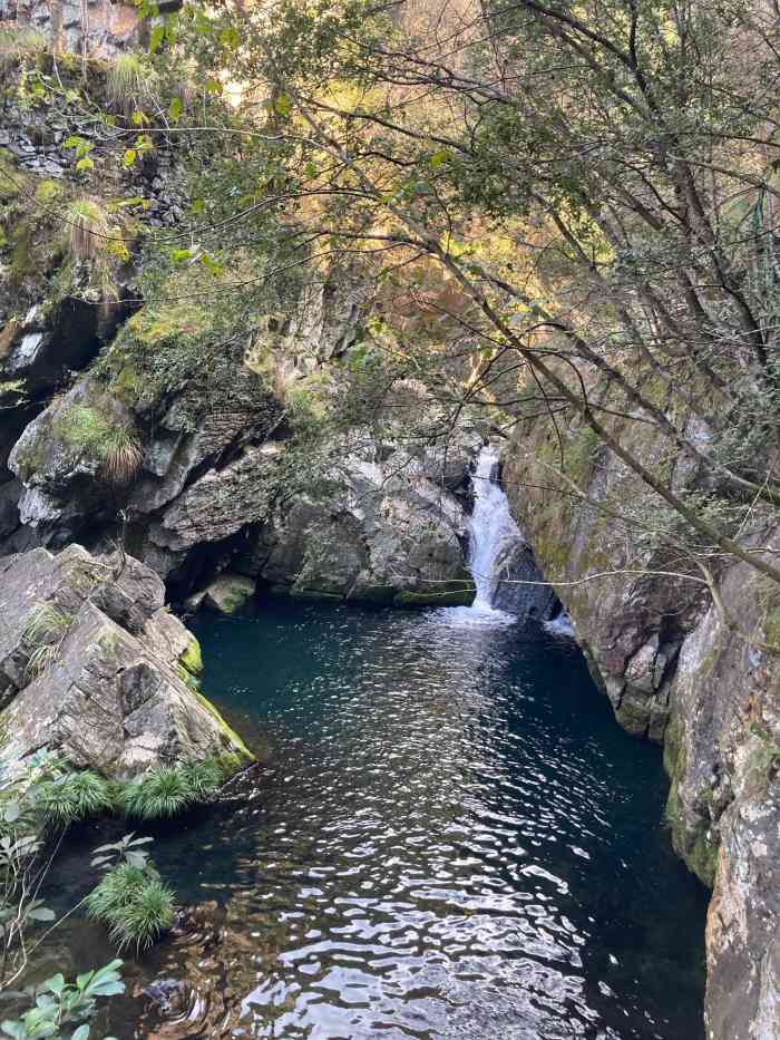 仙寓山景区-"门票50,65岁以上免费,不过要买5块钱.