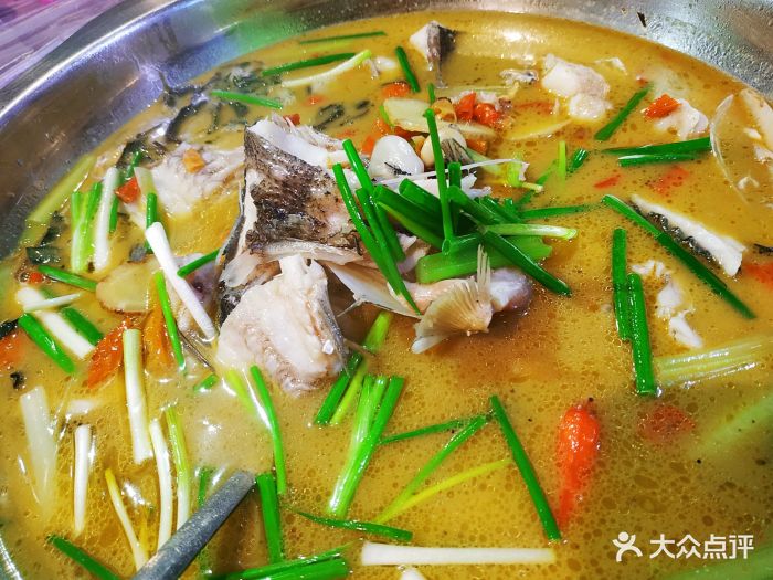 虾皇活水鱼图片