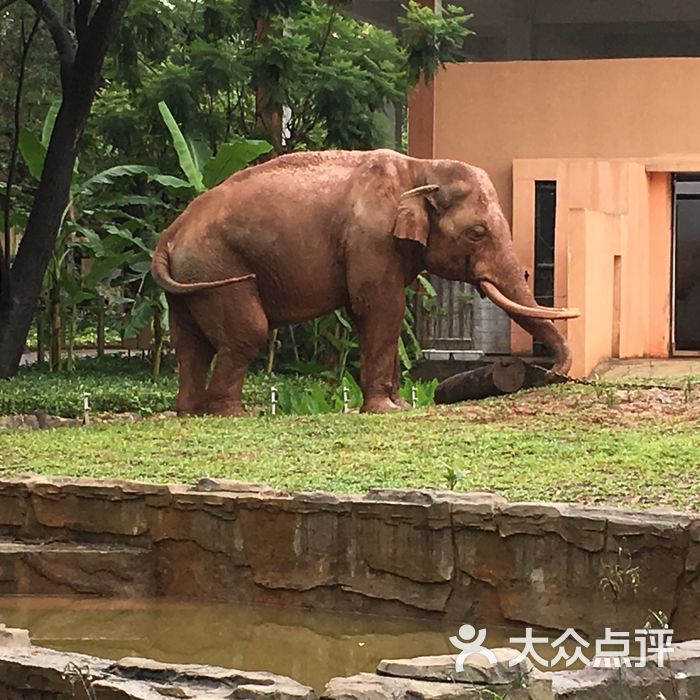 广州动物园图片-北京动物园-大众点评网