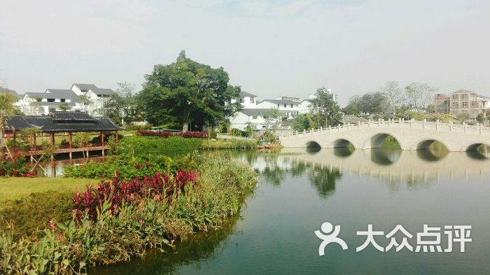 美丽南方·忠良景区的全部评价-南宁-大众点评网