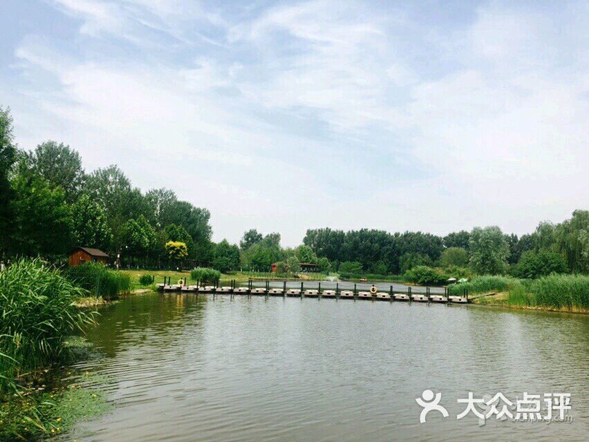 汉石桥湿地公园