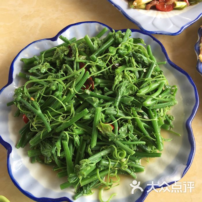 田园农家菜馆-清炒丝瓜尖图片-剑川县美食-大众点评网