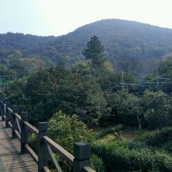 树山梨什么时候有 73fkGcu2hXFbxmHrh8-F8nkjPdIDqOv8v8q2nOGApycZmh6MoggIgxY5_gzB8o9RF5u7J_jS4MuCaeLAHD0KTg.jpg