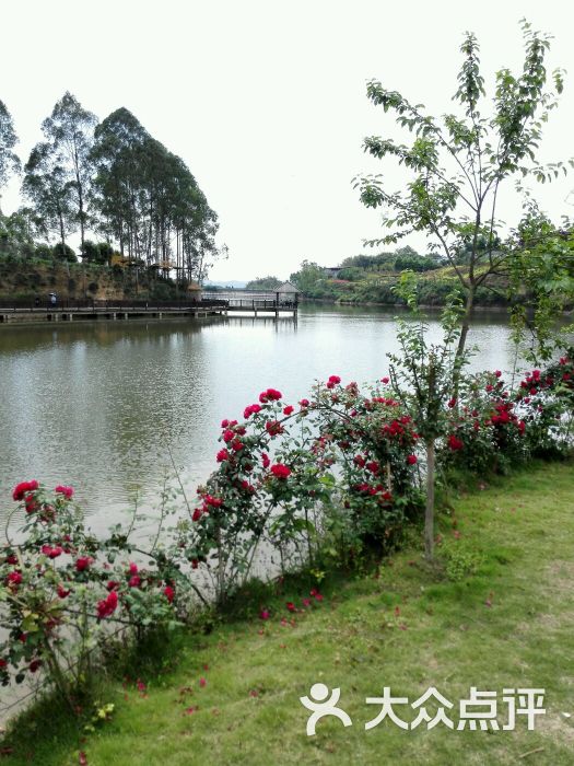 桂花湖飞虎拓展基地图片 - 第8张