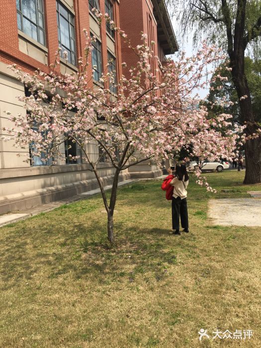 上海应用技术大学(徐汇分部)图片