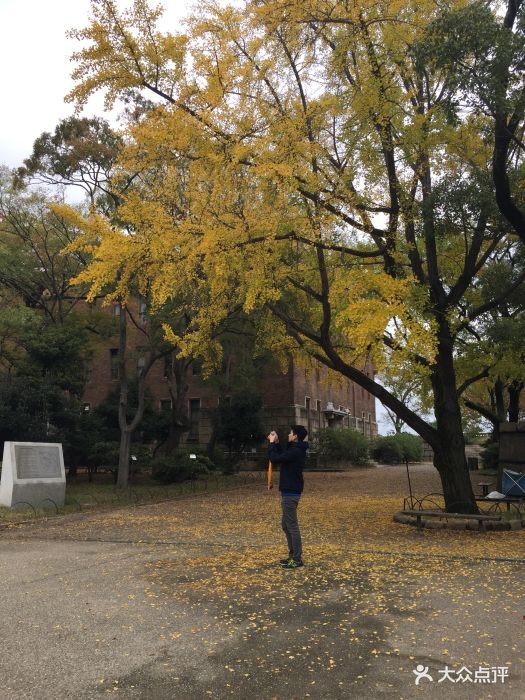 秋天的大阪城,不冷不热的天气,转了转安静.-大