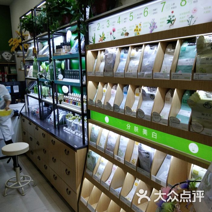 樊文花