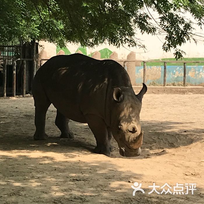 天津动物园