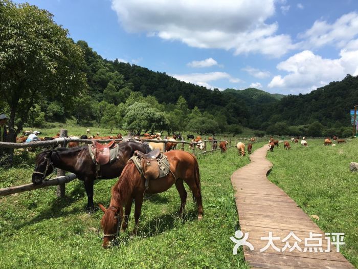 大水川景区图片 - 第49张