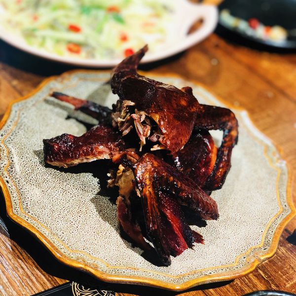 吊炉鸽子