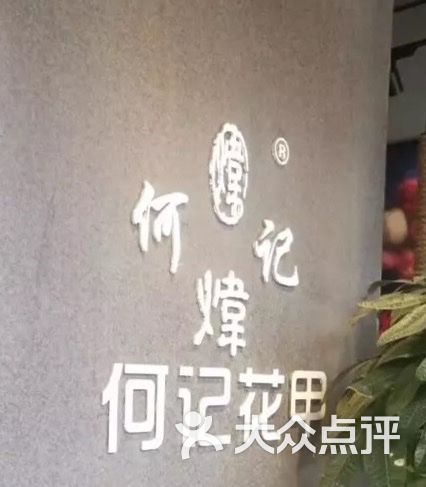 何记花甲冰火娃视频图片