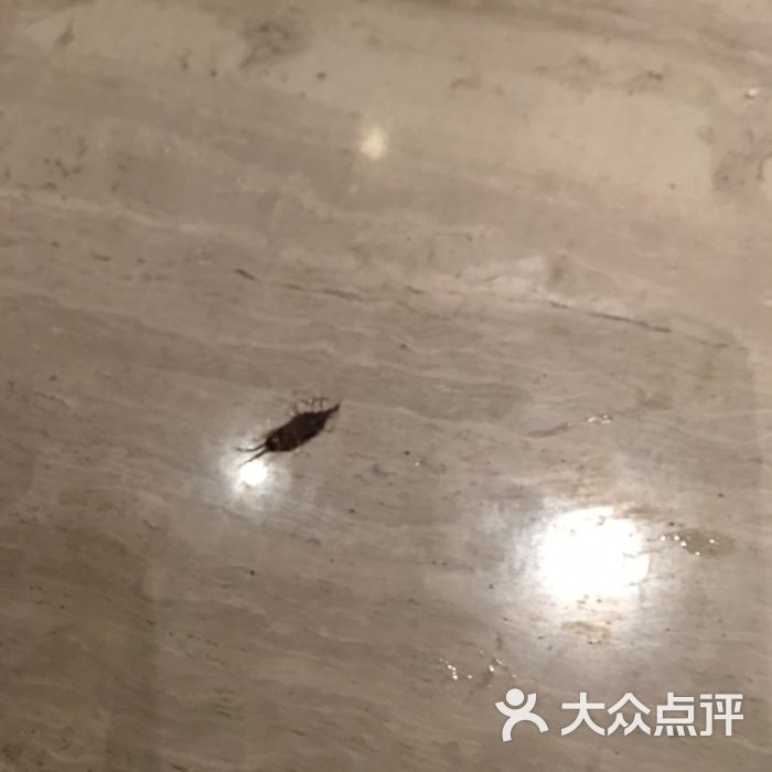 打死的蟑螂!