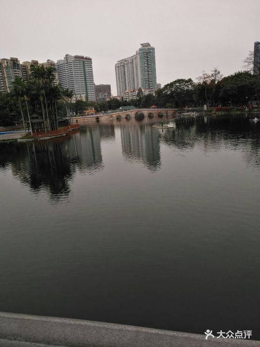 荔湾湖公园位于广州西关,占地面积非常大,.-荔