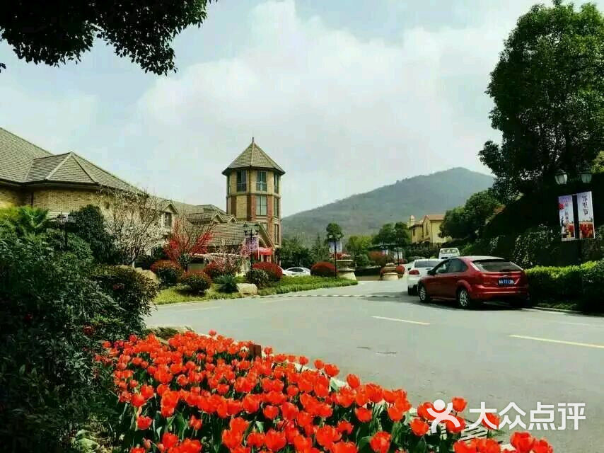 新湖·仙林翠谷图片 - 第7张