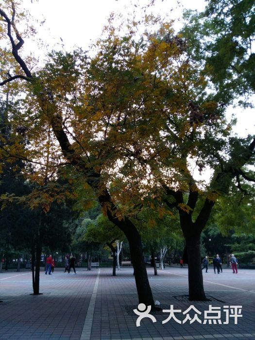 东单公园图片 - 第38张