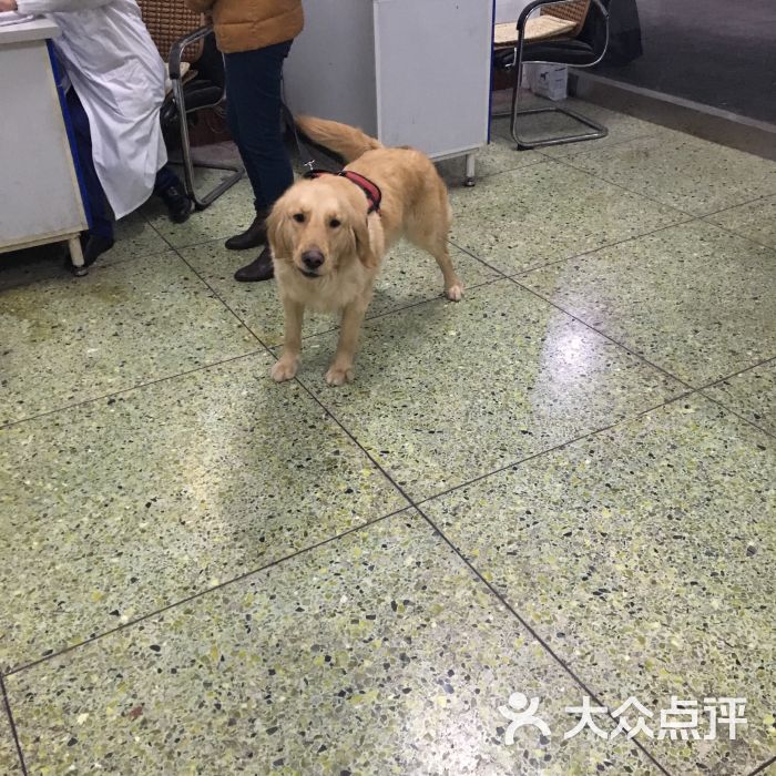 西南民族大学动物医院
