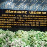 "蛇岛老铁山自然博物馆"的全部点评-大连景点/周边游-大众点评网移动