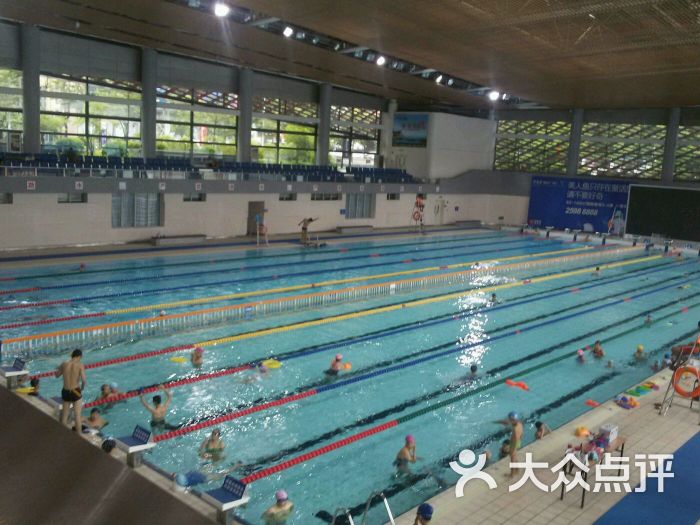南山文体中心游泳馆-图片-深圳运动健身