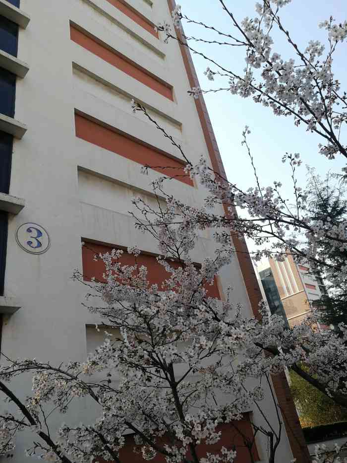 青岛农业大学(西苑校区)-"青岛农业大学,在青岛市城阳