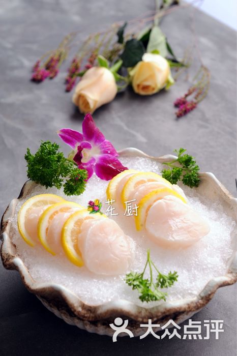 日本帆立贝
