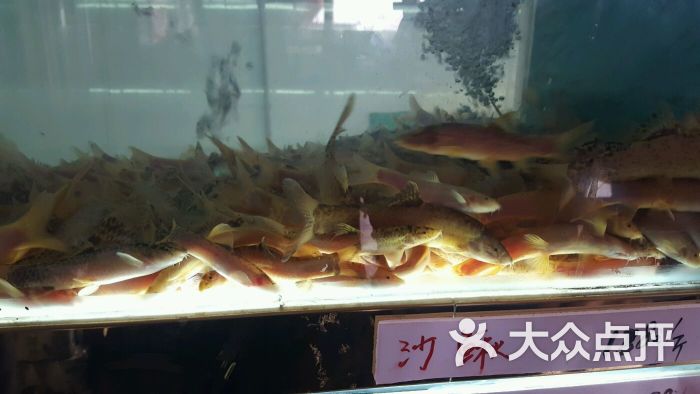 鱼痴渔醉私房菜(武昌店)图片 第932张