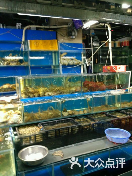 岳各庄批发市场-图片