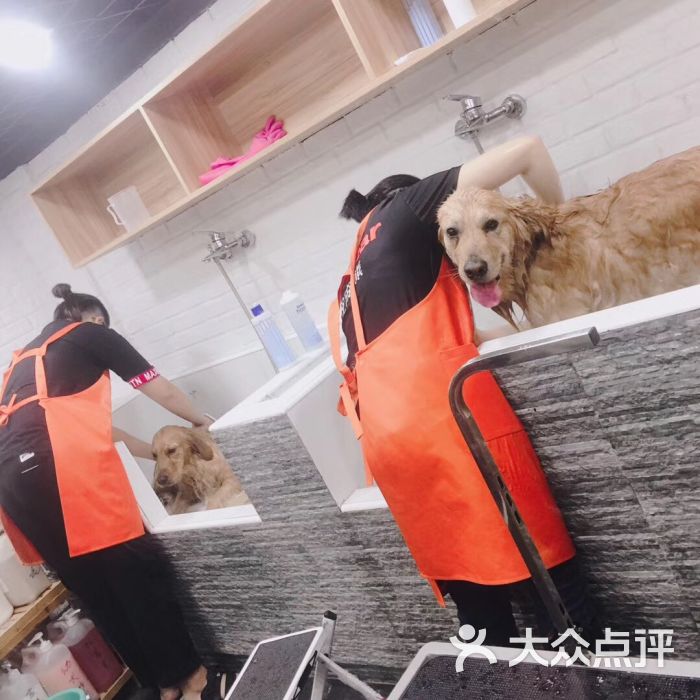 八公叔叔宠物美容连锁天山店