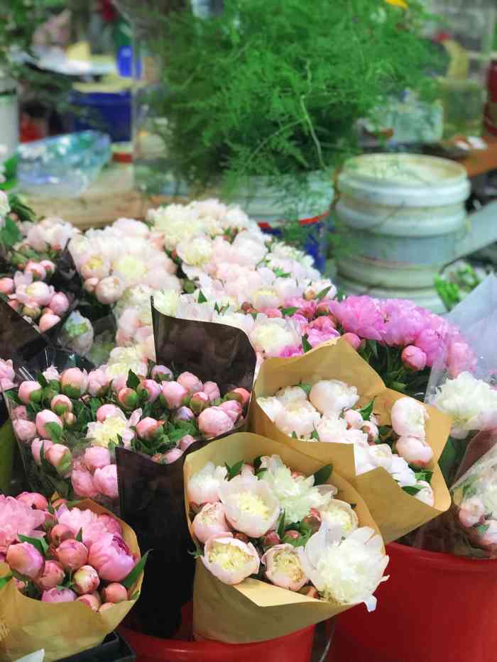 青岛市南山花鸟鱼石市场"南山的花鸟市场是青岛历史最悠久的,也是规.