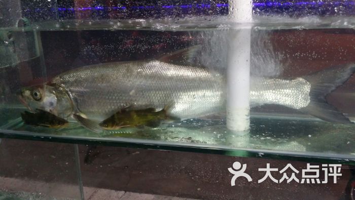 天香鱼-图片-洪湖市美食-大众点评网